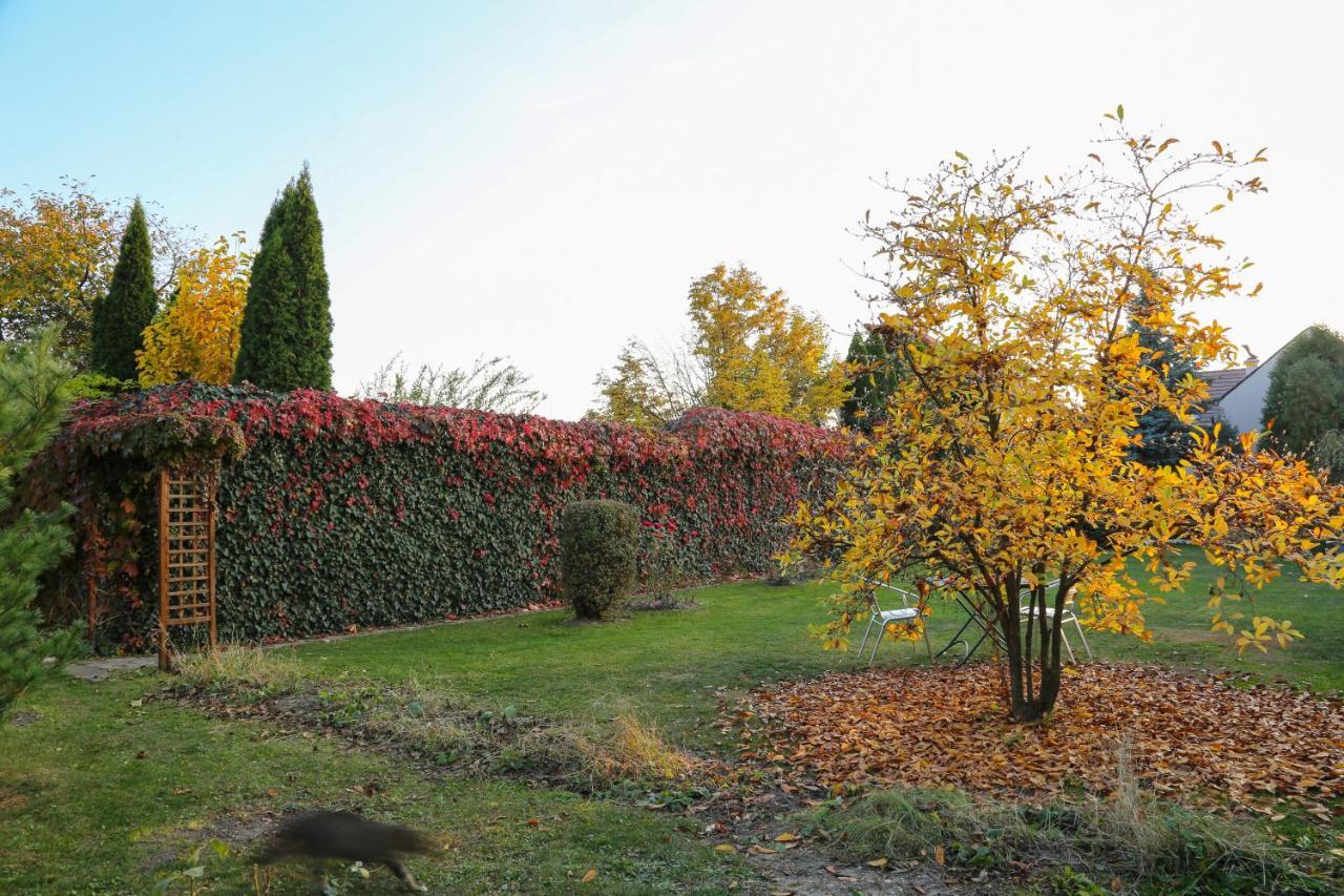 Villa Umberti سيبيو المظهر الخارجي الصورة